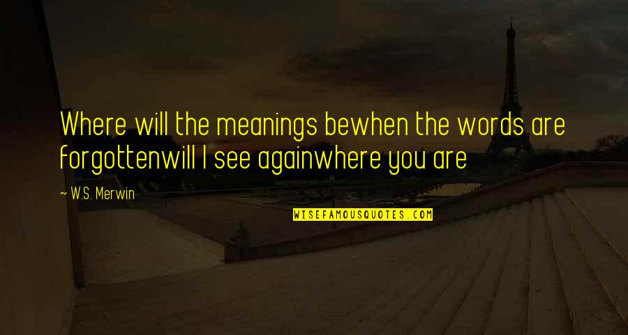 When Will I See You Quotes By W.S. Merwin: Where will the meanings bewhen the words are