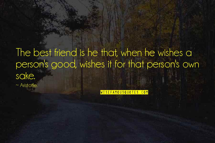 When You A Good Person Quotes By Aristotle.: The best friend is he that, when he