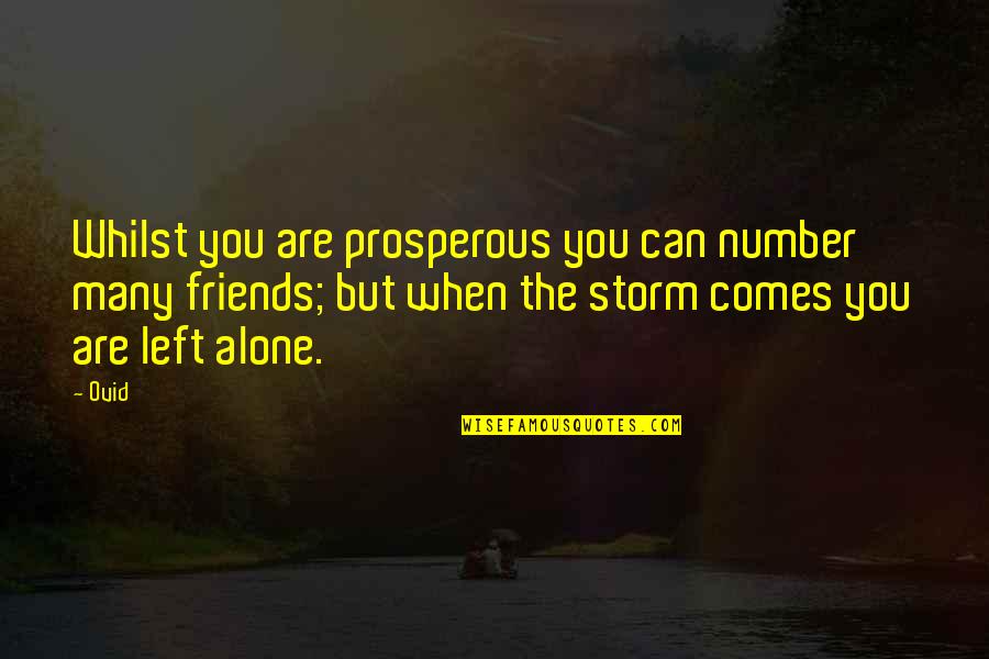 When You Are Alone Quotes By Ovid: Whilst you are prosperous you can number many