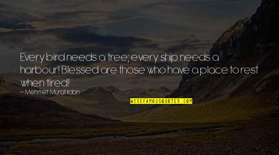 When You Are Tired Rest Quotes By Mehmet Murat Ildan: Every bird needs a tree; every ship needs When You Are Tired Rest Quotes By Mehmet Murat Ildan: Every bird needs a tree; every ship needs