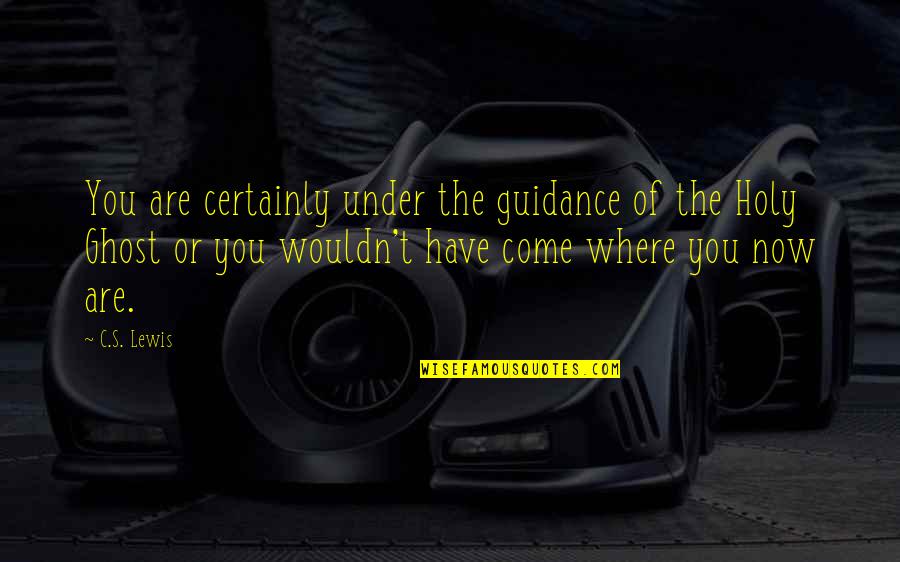 When You Dont Know Where You Stand With Someone Quotes By C.S. Lewis: You are certainly under the guidance of the When You Dont Know Where You Stand With Someone Quotes By C.S. Lewis: You are certainly under the guidance of the