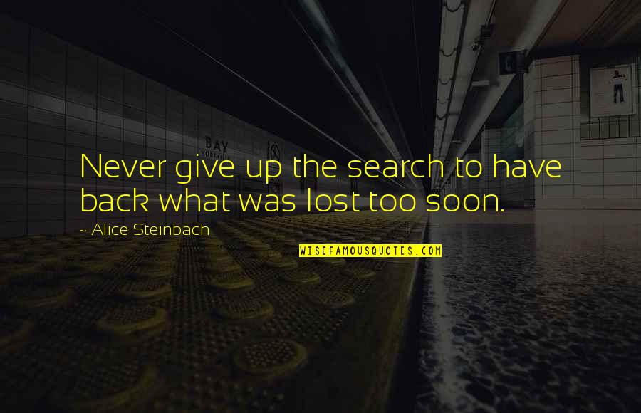 When You Feel Hopeless Quotes By Alice Steinbach: Never give up the search to have back When You Feel Hopeless Quotes By Alice Steinbach: Never give up the search to have back