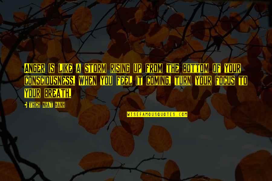 When You Feel It Quotes By Thich Nhat Hanh: Anger is like a storm rising up from