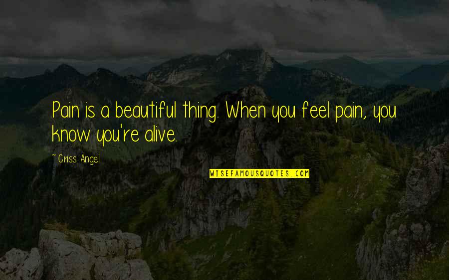 When You Feel Pain Quotes By Criss Angel: Pain is a beautiful thing. When you feel