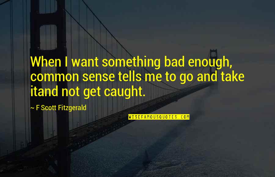 When You Get Caught Quotes By F Scott Fitzgerald: When I want something bad enough, common sense