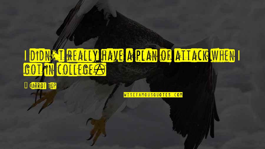 When You Have A Plan Quotes By Carrot Top: I didn't really have a plan of attack
