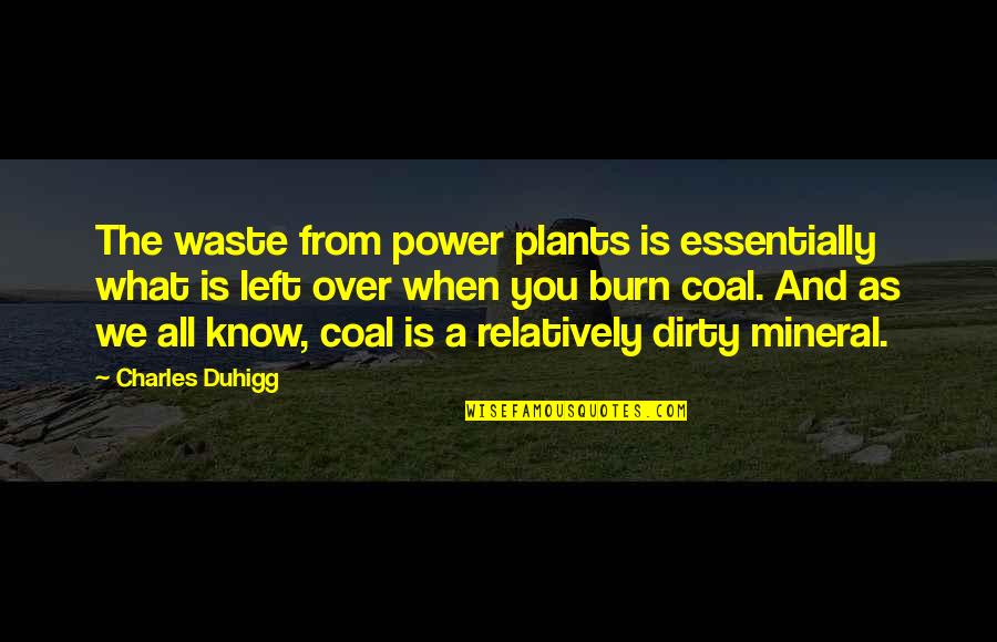 When You Know What You Know Quotes By Charles Duhigg: The waste from power plants is essentially what