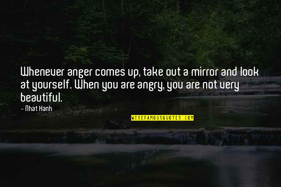 When You Look At Yourself In The Mirror Quotes By Nhat Hanh: Whenever anger comes up, take out a mirror