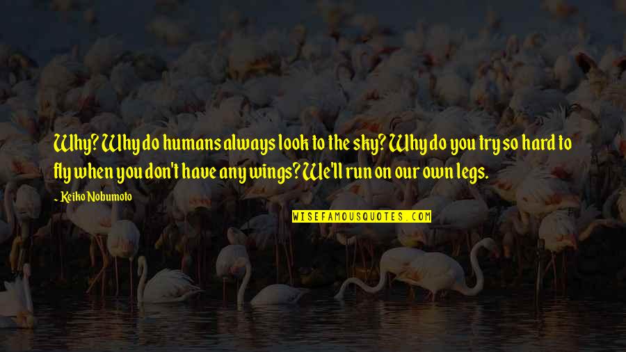 When You Look Up At The Sky Quotes By Keiko Nobumoto: Why? Why do humans always look to the