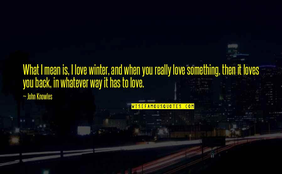 When You Love Something Quotes By John Knowles: What I mean is, I love winter, and