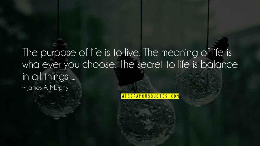When You Need That One Person Quotes By James A. Murphy: The purpose of life is to live. The