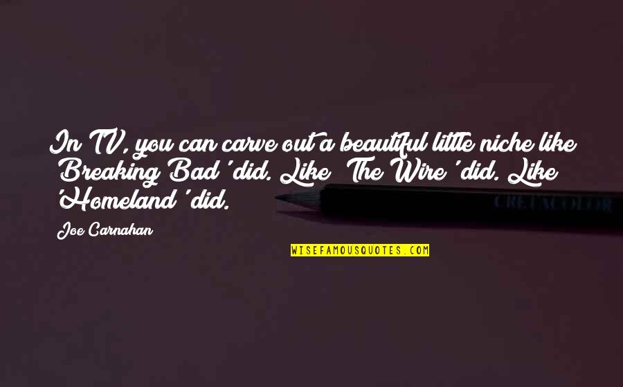 When You Need Your Best Friend Quotes By Joe Carnahan: In TV, you can carve out a beautiful