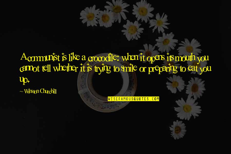 When You Smile Quotes By Winston Churchill: A communist is like a crocodile: when it
