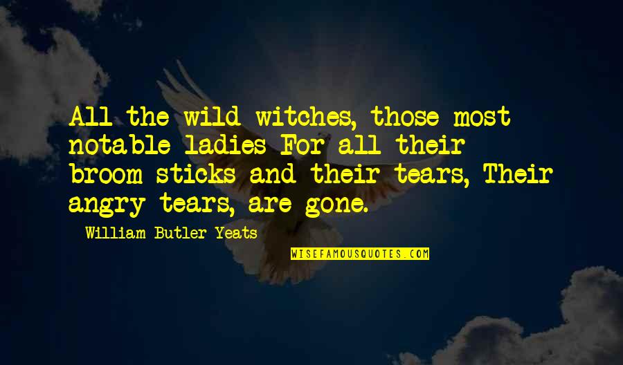 When Your Dreams Are Shattered Quotes By William Butler Yeats: All the wild-witches, those most notable ladies For