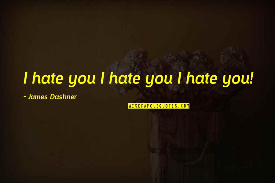 When Your Ex Posts Quotes By James Dashner: I hate you I hate you I hate