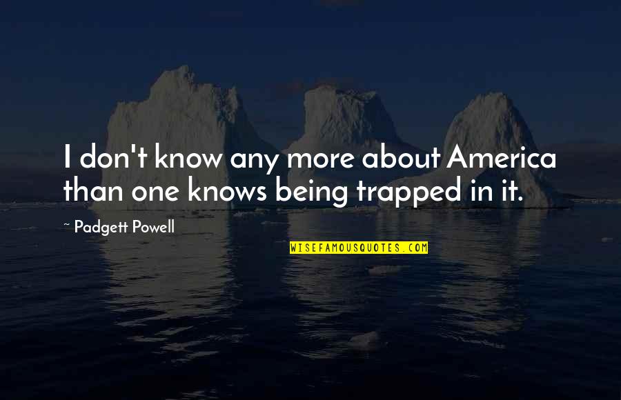 When Your Injured Quotes By Padgett Powell: I don't know any more about America than