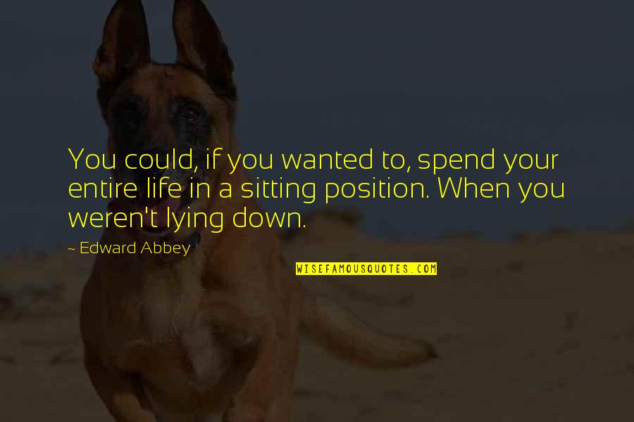 When You're Down In Life Quotes By Edward Abbey: You could, if you wanted to, spend your