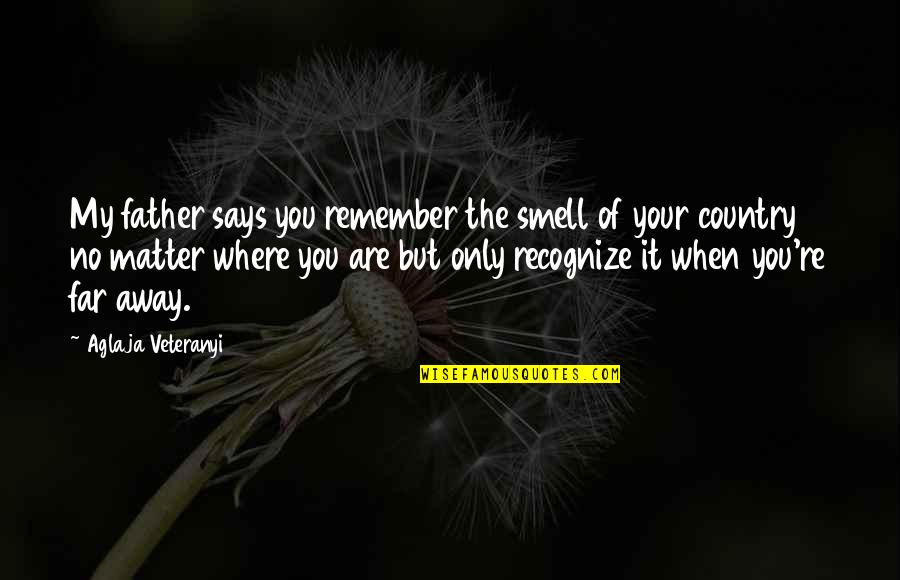 When You're Far Away Quotes By Aglaja Veteranyi: My father says you remember the smell of