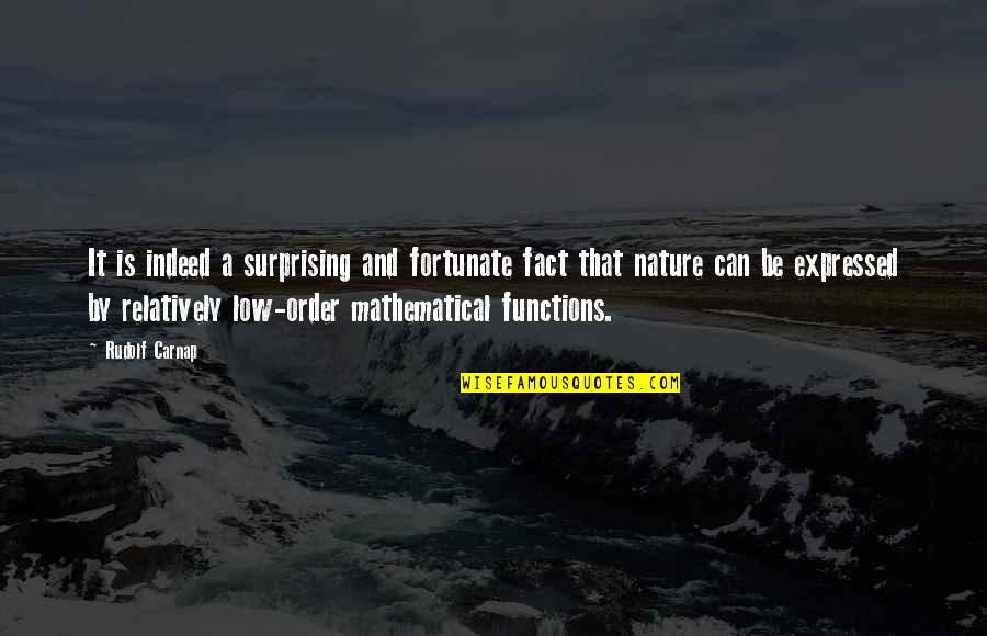 When You're Feeling Down Just Remember Quotes By Rudolf Carnap: It is indeed a surprising and fortunate fact