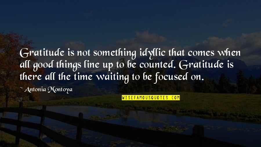 When Youre Not Training Someone Else Is Quotes By Antonia Montoya: Gratitude is not something idyllic that comes when