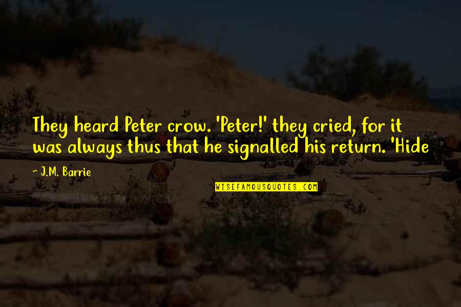 When You're Stuck In A Rut Quotes By J.M. Barrie: They heard Peter crow. 'Peter!' they cried, for