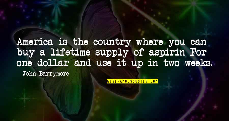 Where Can I Buy Quotes By John Barrymore: America is the country where you can buy
