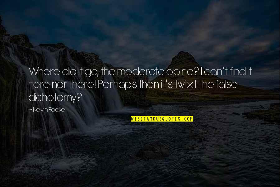 Where Did I Go Quotes By Kevin Focke: Where did it go, the moderate opine? I