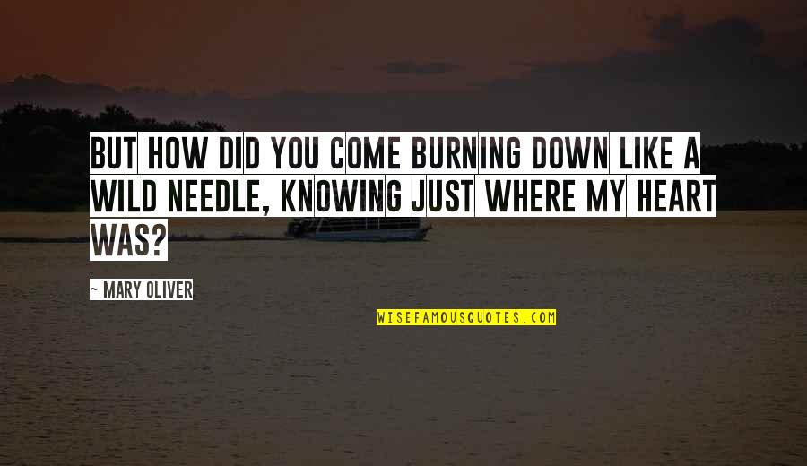 Where Did U Come From Quotes By Mary Oliver: But how did you come burning down like