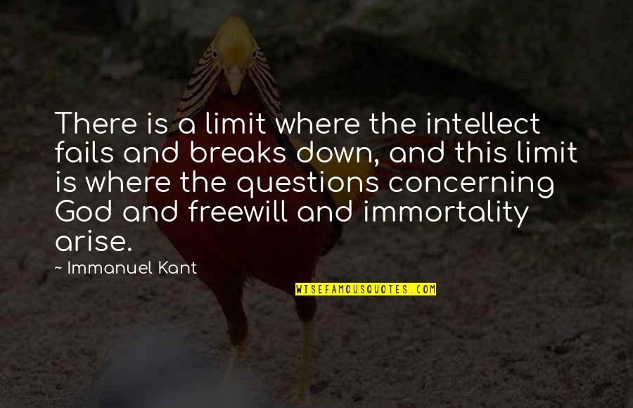 Where God Quotes By Immanuel Kant: There is a limit where the intellect fails