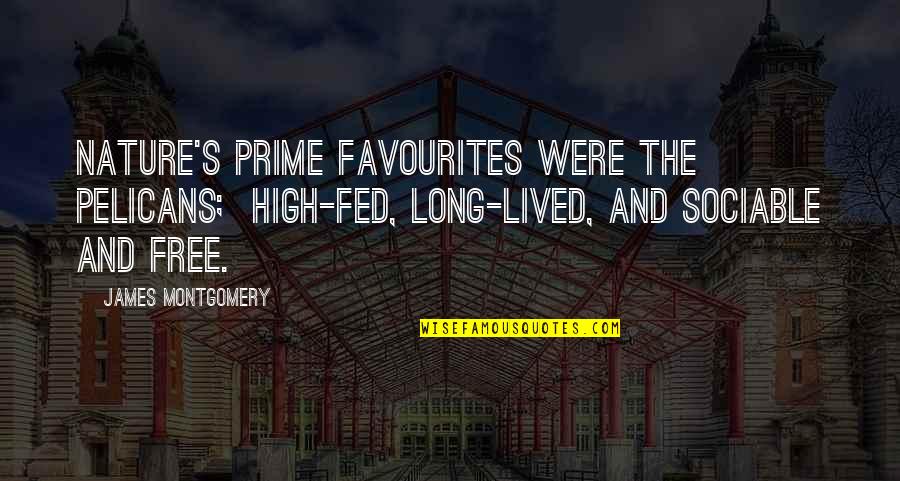Where Have You Been Love Quotes By James Montgomery: Nature's prime favourites were the Pelicans; High-fed, long-lived, Where Have You Been Love Quotes By James Montgomery: Nature's prime favourites were the Pelicans; High-fed, long-lived,