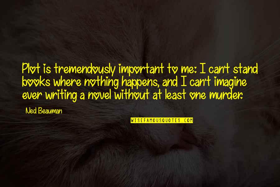 Where I Stand Quotes By Ned Beauman: Plot is tremendously important to me: I can't