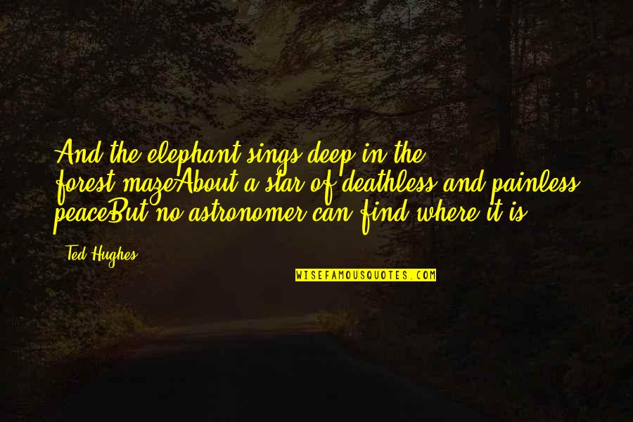Where Is The Peace Quotes By Ted Hughes: And the elephant sings deep in the forest-mazeAbout