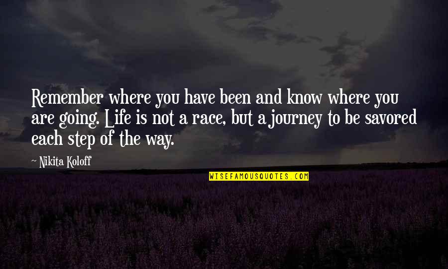 Where Life Is Going Quotes By Nikita Koloff: Remember where you have been and know where