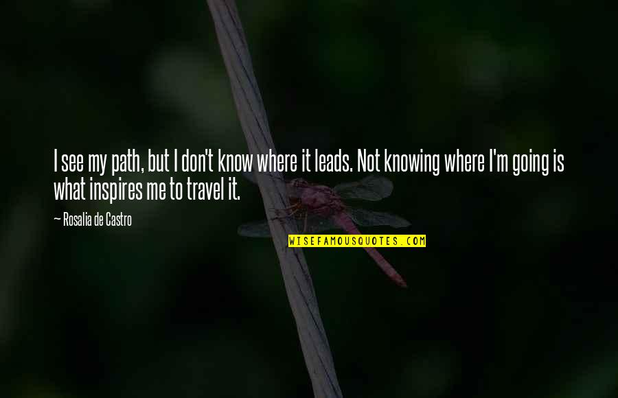 Where To Travel Quotes By Rosalia De Castro: I see my path, but I don't know