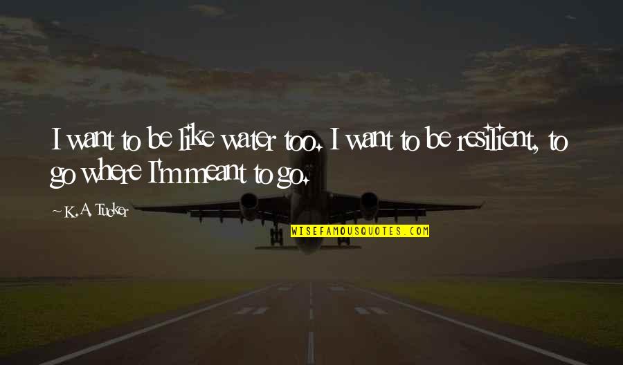 Where You Are Meant To Be Quotes By K.A. Tucker: I want to be like water too. I