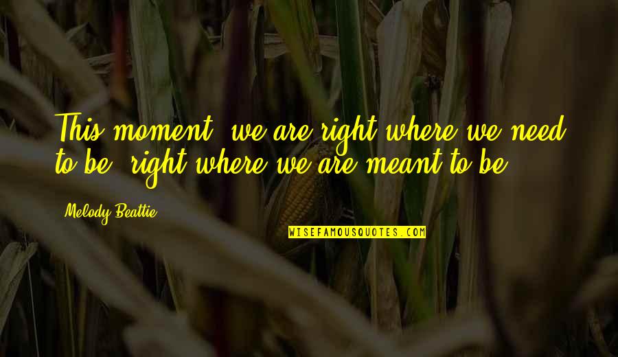 Where You Are Meant To Be Quotes By Melody Beattie: This moment, we are right where we need