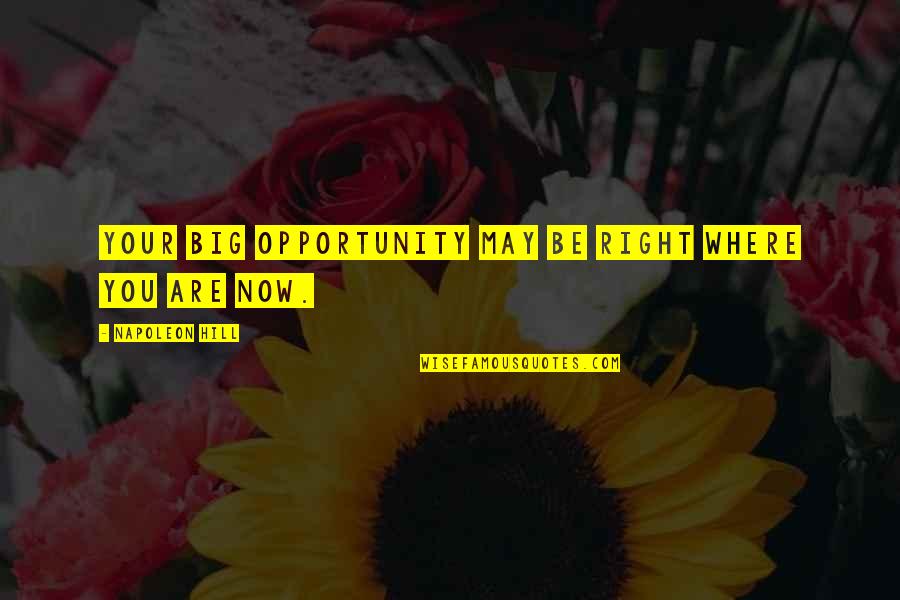 Where You Are Now Quotes By Napoleon Hill: Your big opportunity may be right where you