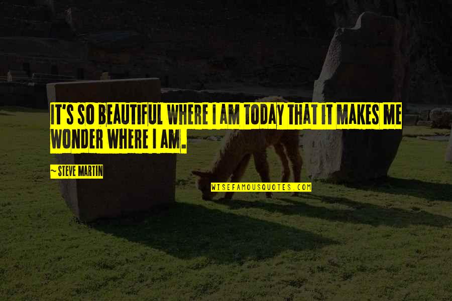 Where You Are Today Quotes By Steve Martin: It's so beautiful where I am today that