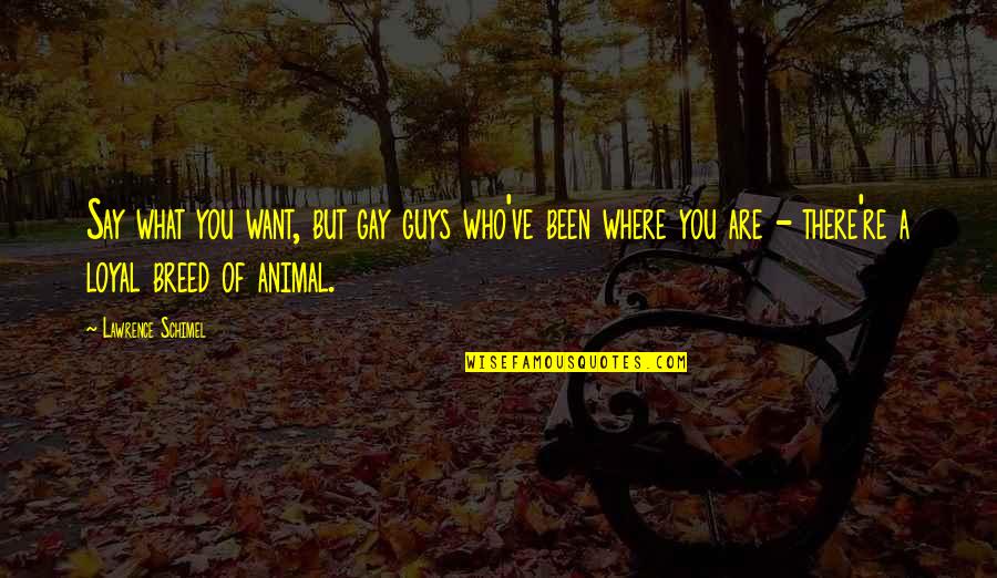 Where You Been Quotes By Lawrence Schimel: Say what you want, but gay guys who've