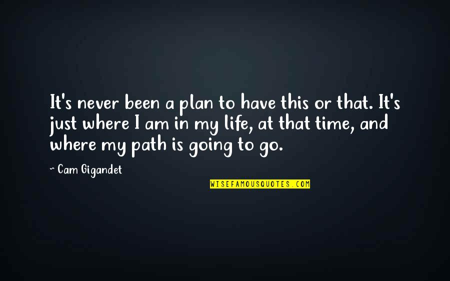 Where You Have Been And Where You Are Going Quotes By Cam Gigandet: It's never been a plan to have this