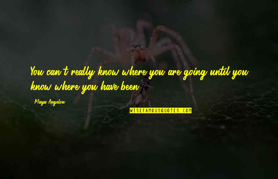 Where You Have Been And Where You Are Going Quotes By Maya Angelou: You can't really know where you are going