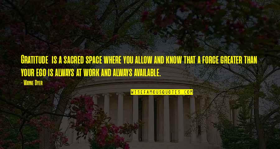 Where You Work Quotes By Wayne Dyer: Gratitude is a sacred space where you allow