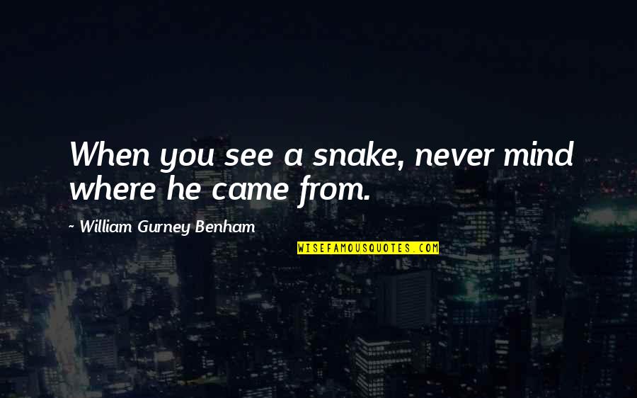 Where You Work Quotes By William Gurney Benham: When you see a snake, never mind where