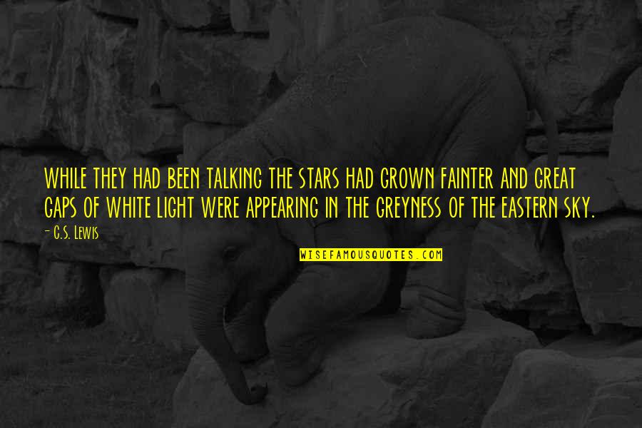 Wherein We Enter The Museum Quotes By C.S. Lewis: while they had been talking the stars had Wherein We Enter The Museum Quotes By C.S. Lewis: while they had been talking the stars had