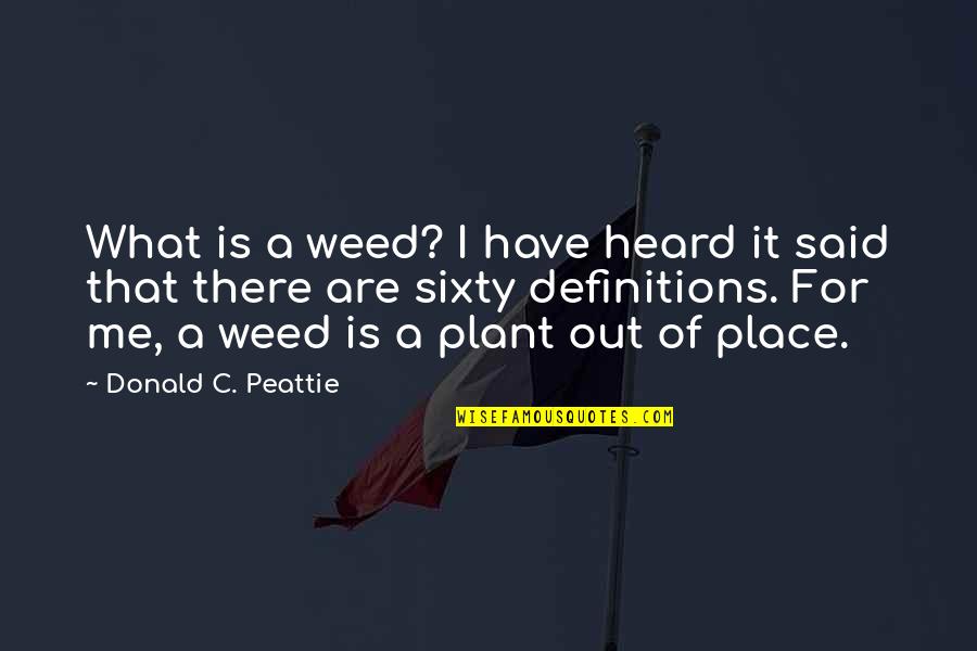 Whicn Quotes By Donald C. Peattie: What is a weed? I have heard it