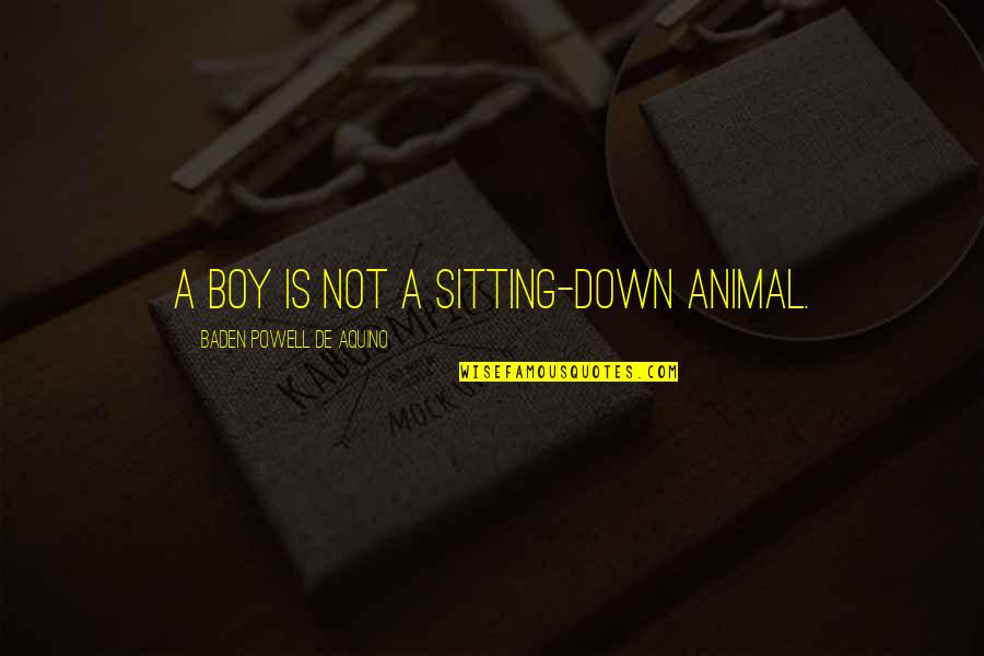 Whigs Quotes By Baden Powell De Aquino: A boy is not a sitting-down animal. Whigs Quotes By Baden Powell De Aquino: A boy is not a sitting-down animal.