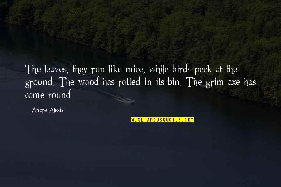 While Its Quotes By Andre Alexis: The leaves, they run like mice, while birds While Its Quotes By Andre Alexis: The leaves, they run like mice, while birds