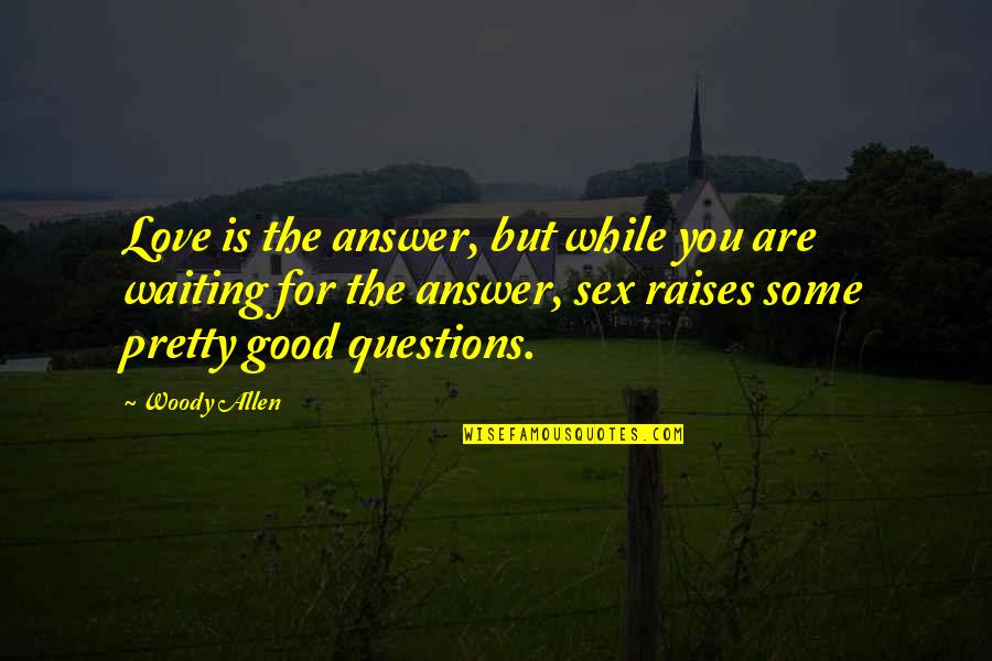While Waiting Quotes By Woody Allen: Love is the answer, but while you are