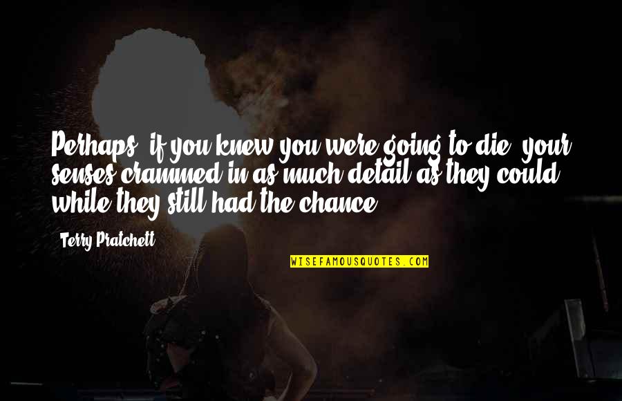 While You Were Quotes By Terry Pratchett: Perhaps, if you knew you were going to