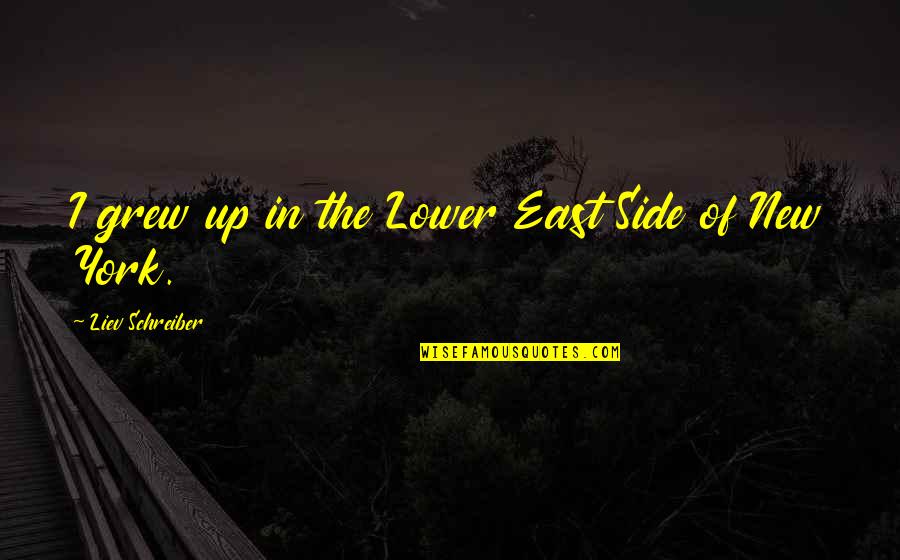 While You're Pushing Her Away Quotes By Liev Schreiber: I grew up in the Lower East Side